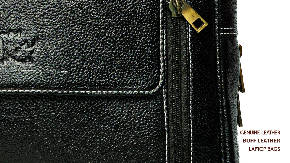 Back view of 