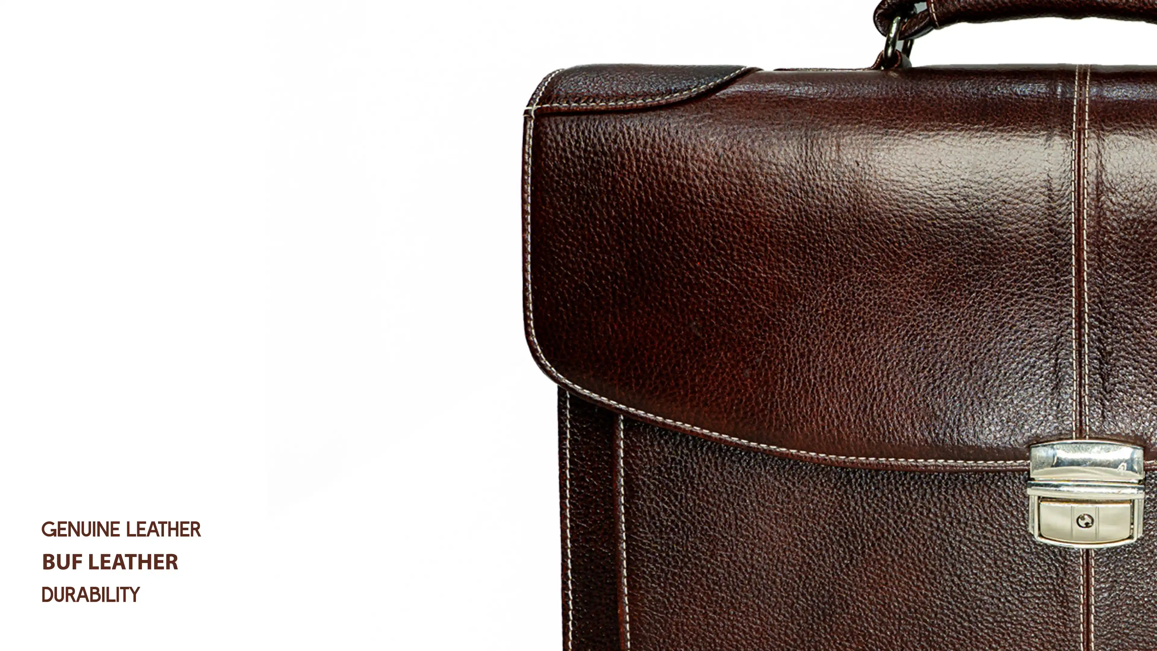 Back view of 