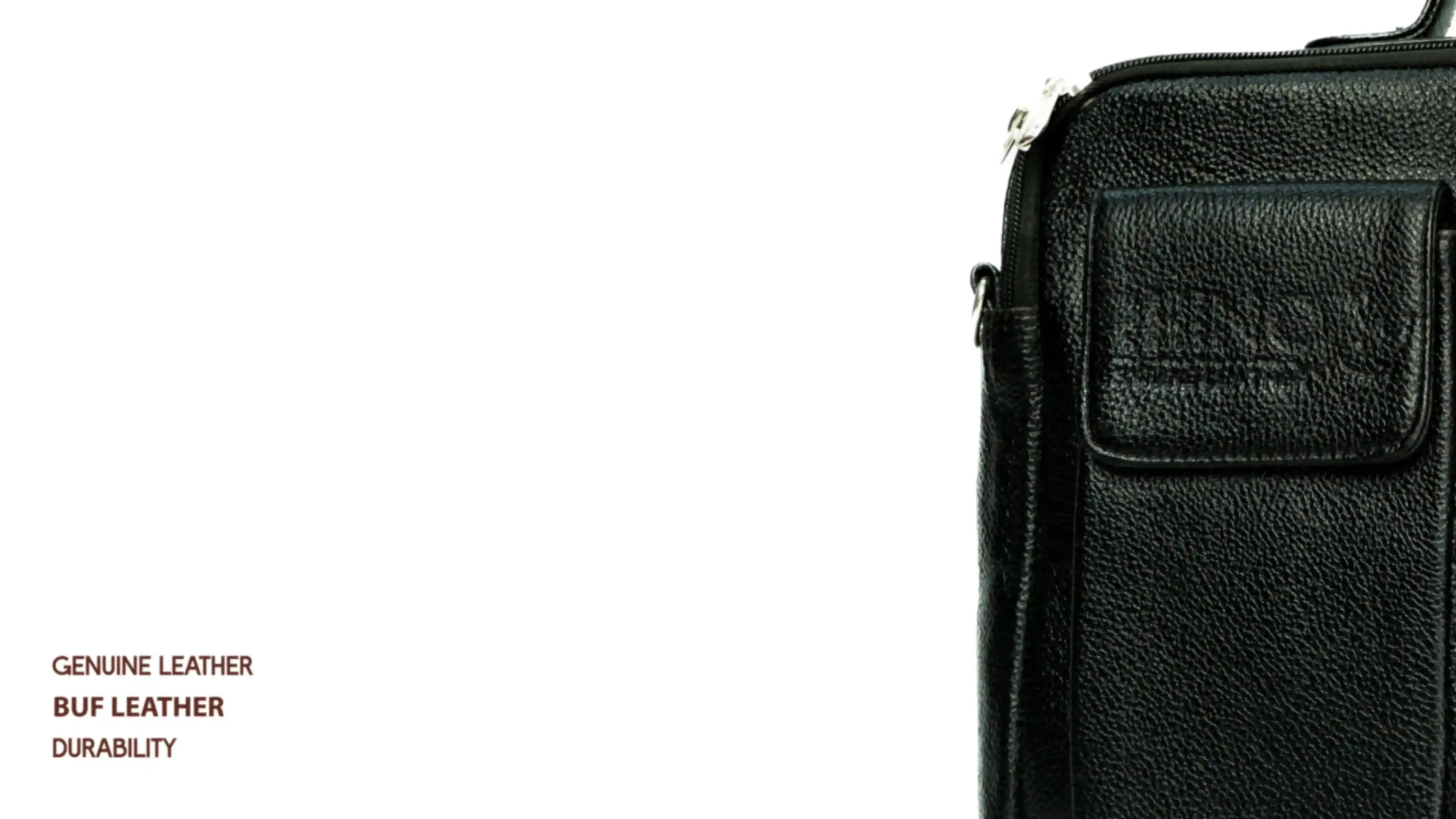 Back view of 