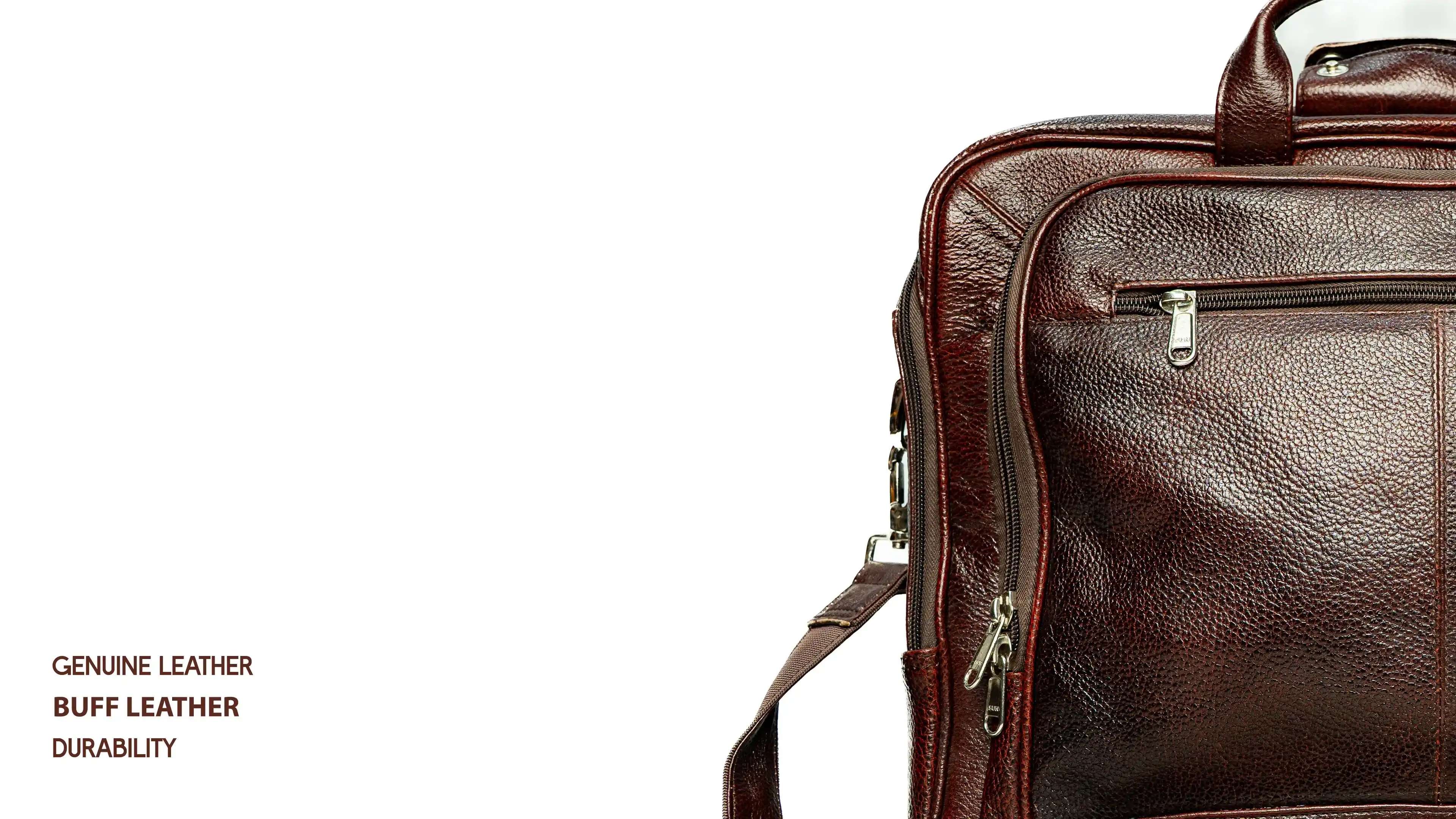 Back view of 